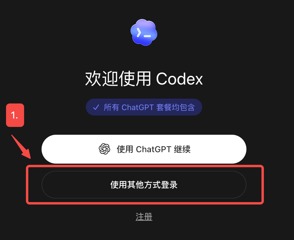 Codex 的其他登录方式入口