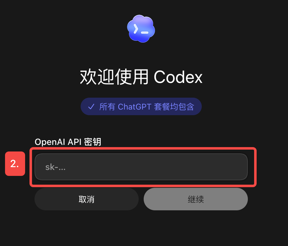 Codex 的 OpenAI API 密钥输入框