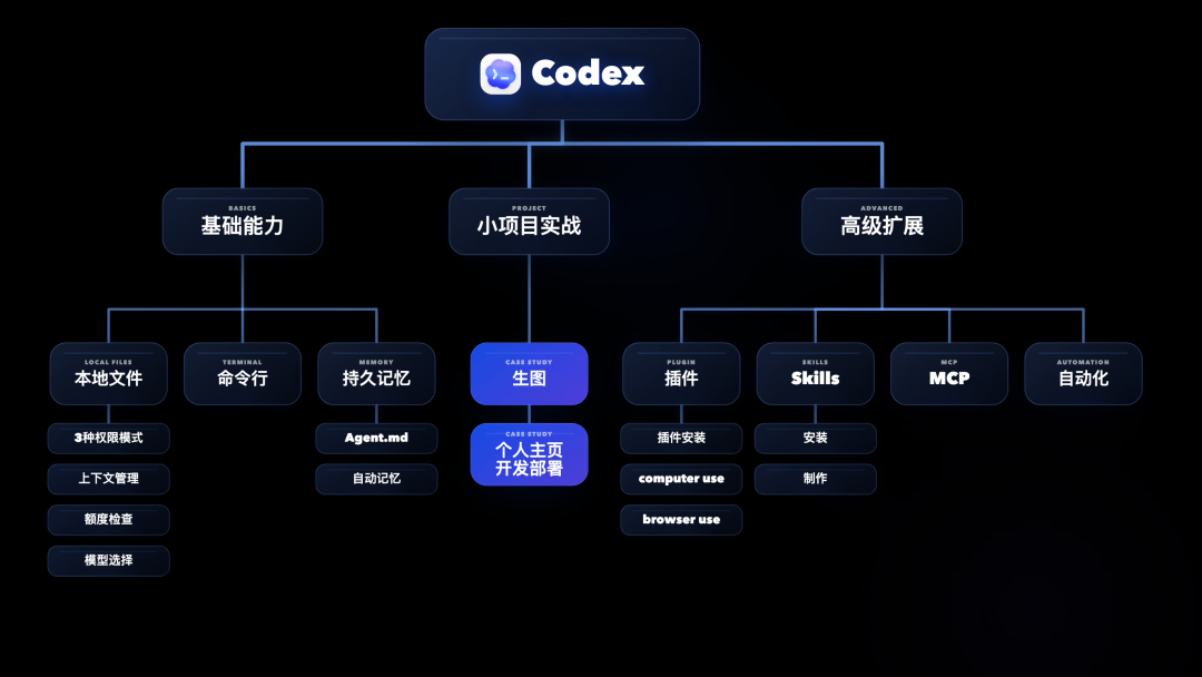 Codex 基础、项目和高级扩展能力分类